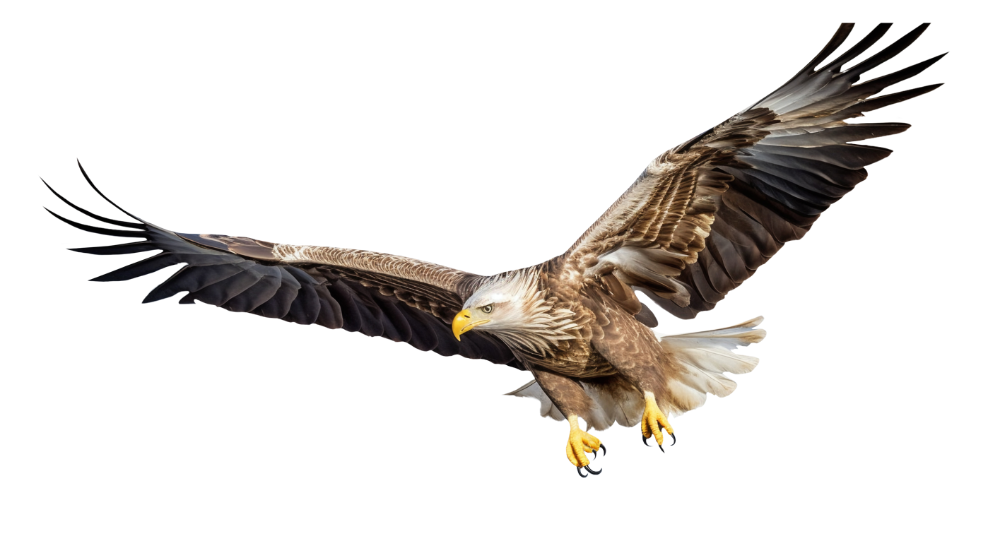 Maven Eagle Mascot